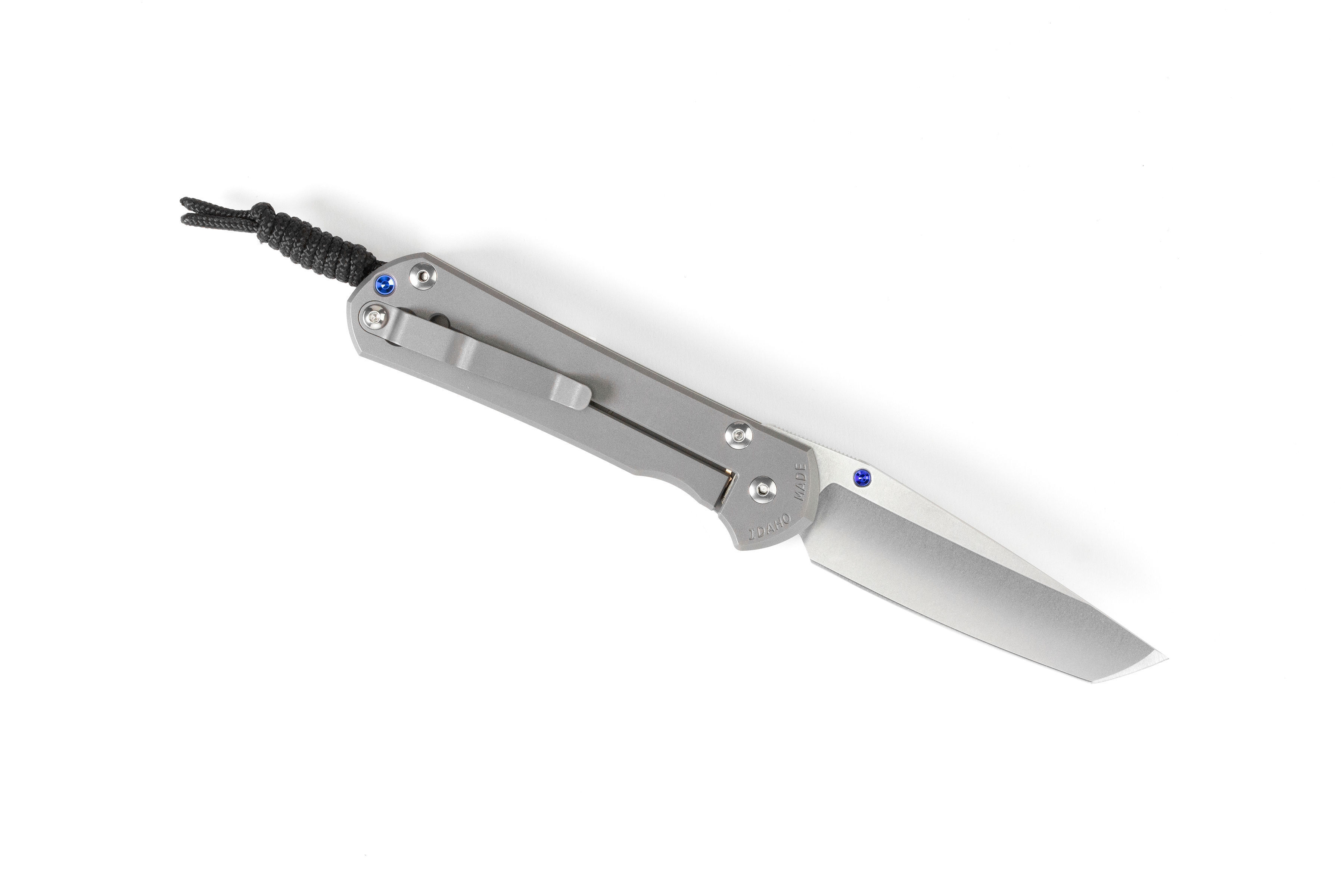 Chris-Reeve-Sebenza-31-Large-Tanto-3 Chris Reeve Sebenza 31 Large - Tanto