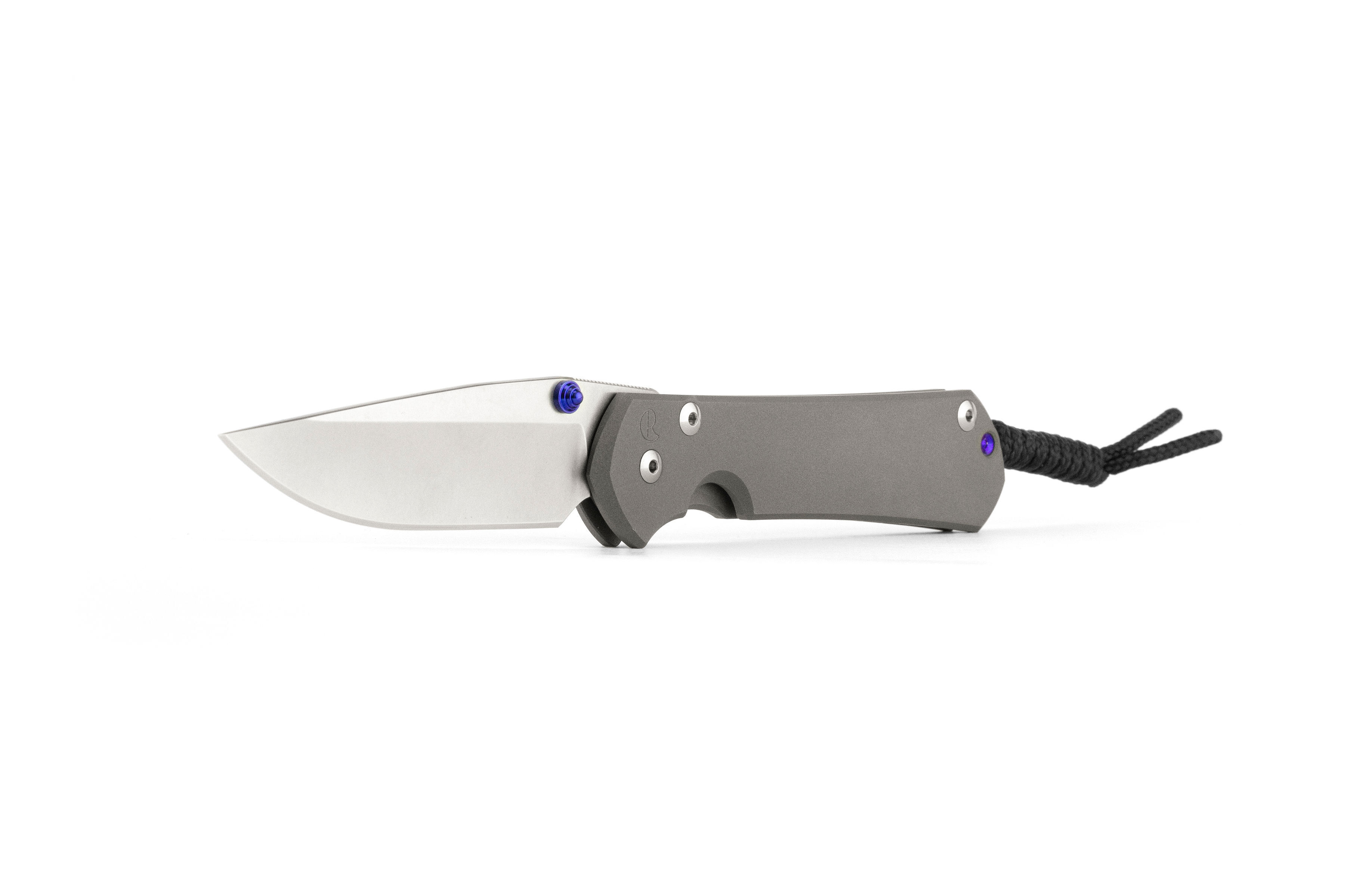 Chris-Reeve-Sebenza-31-Large-Drop-Point Chris Reeve Sebenza 31 Large - Drop Point (S45VN)