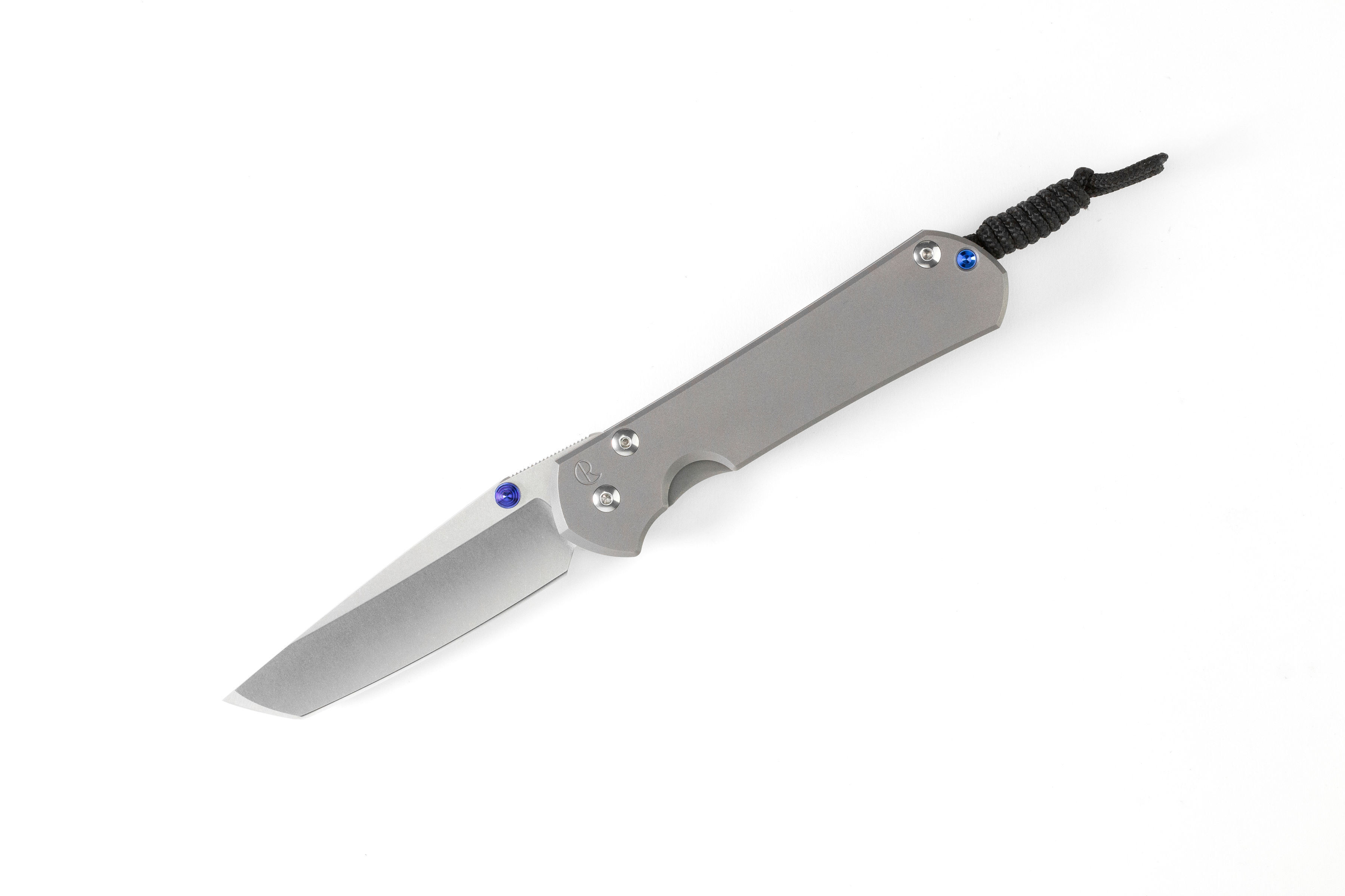 Chris Reeve Sebenza 31 Large - Tanto