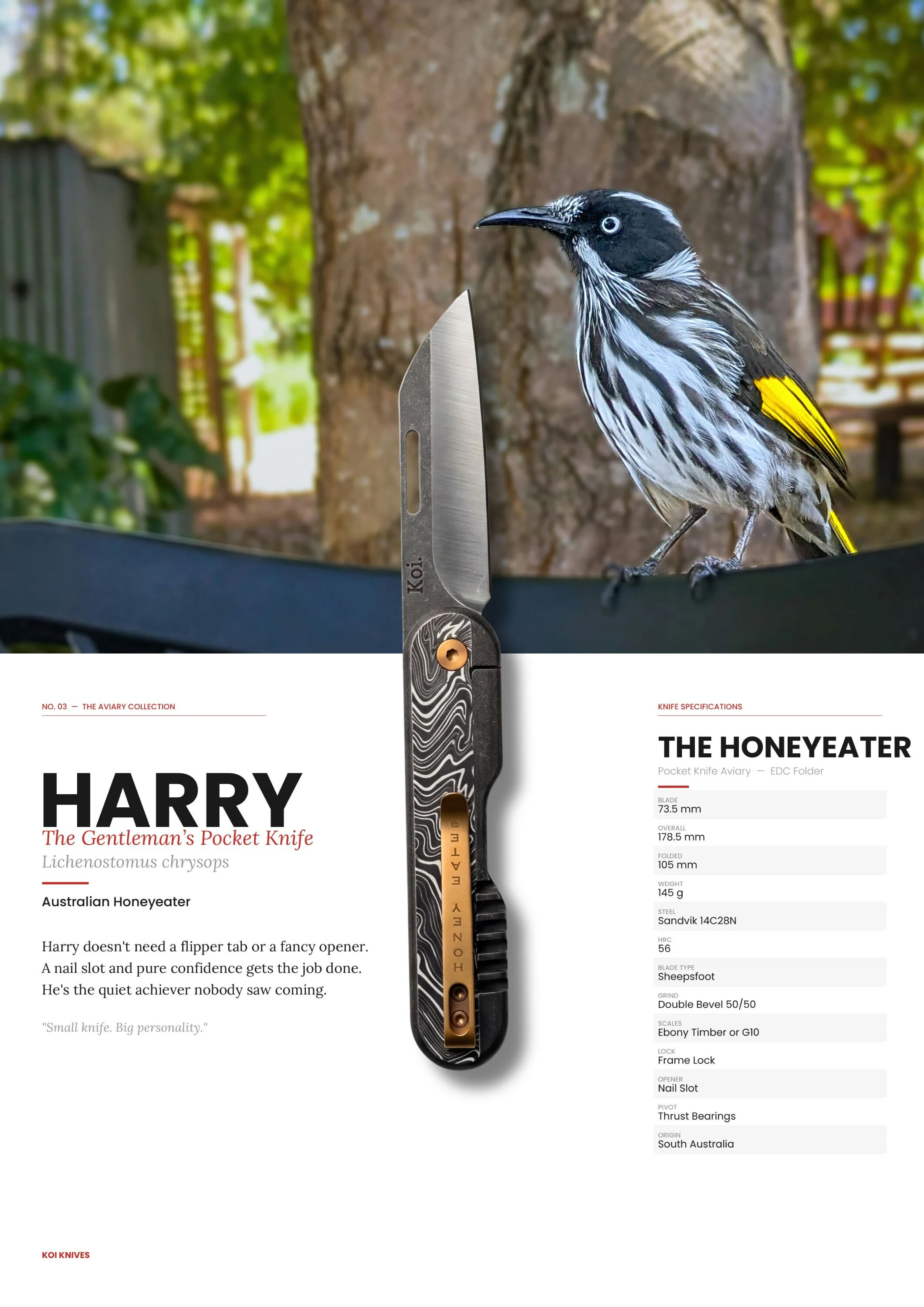 KOI Knives Gentlemen Taschenmesser "Harry" the Honeyeater