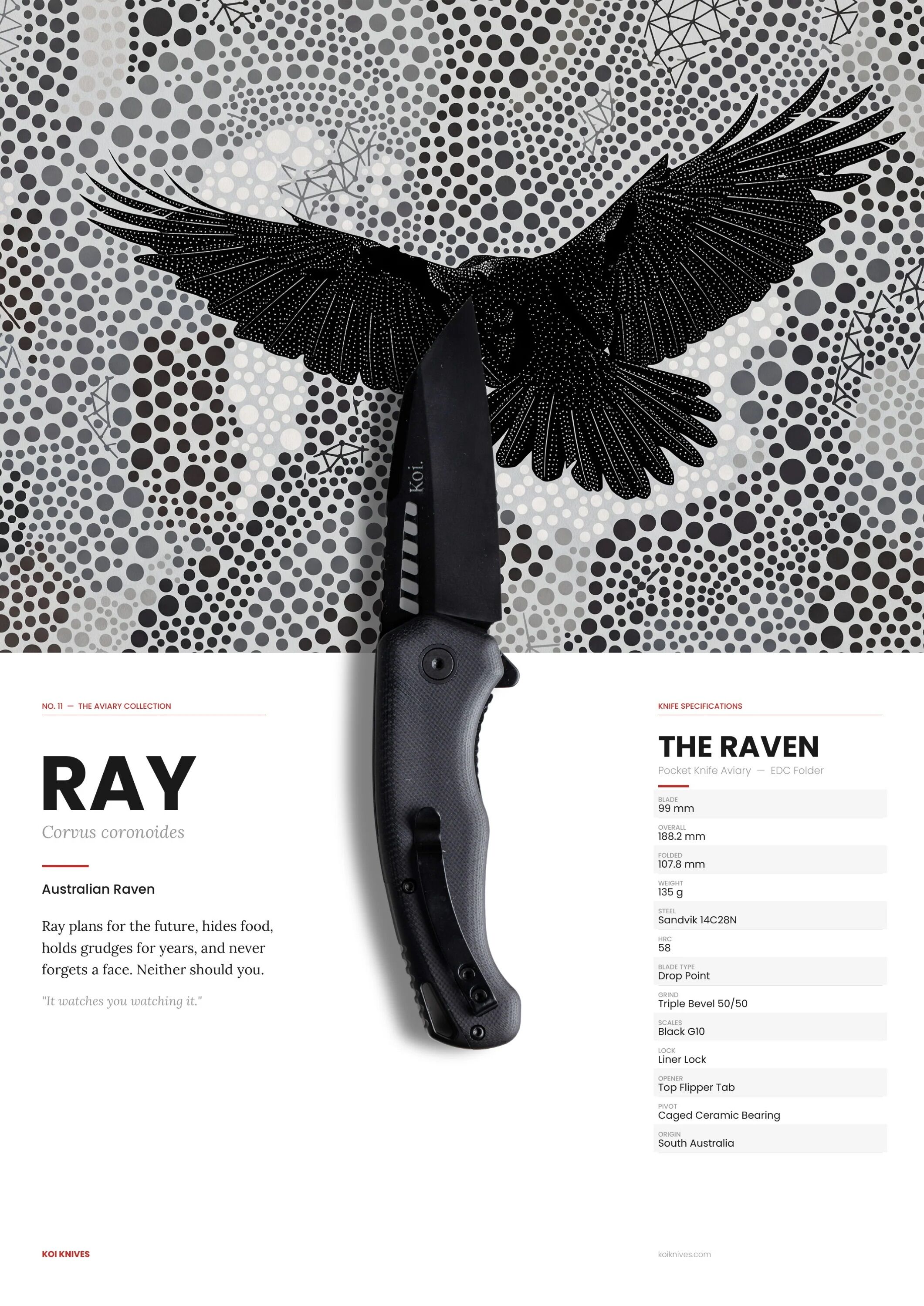 Koi Knives "Ray" der Rabe