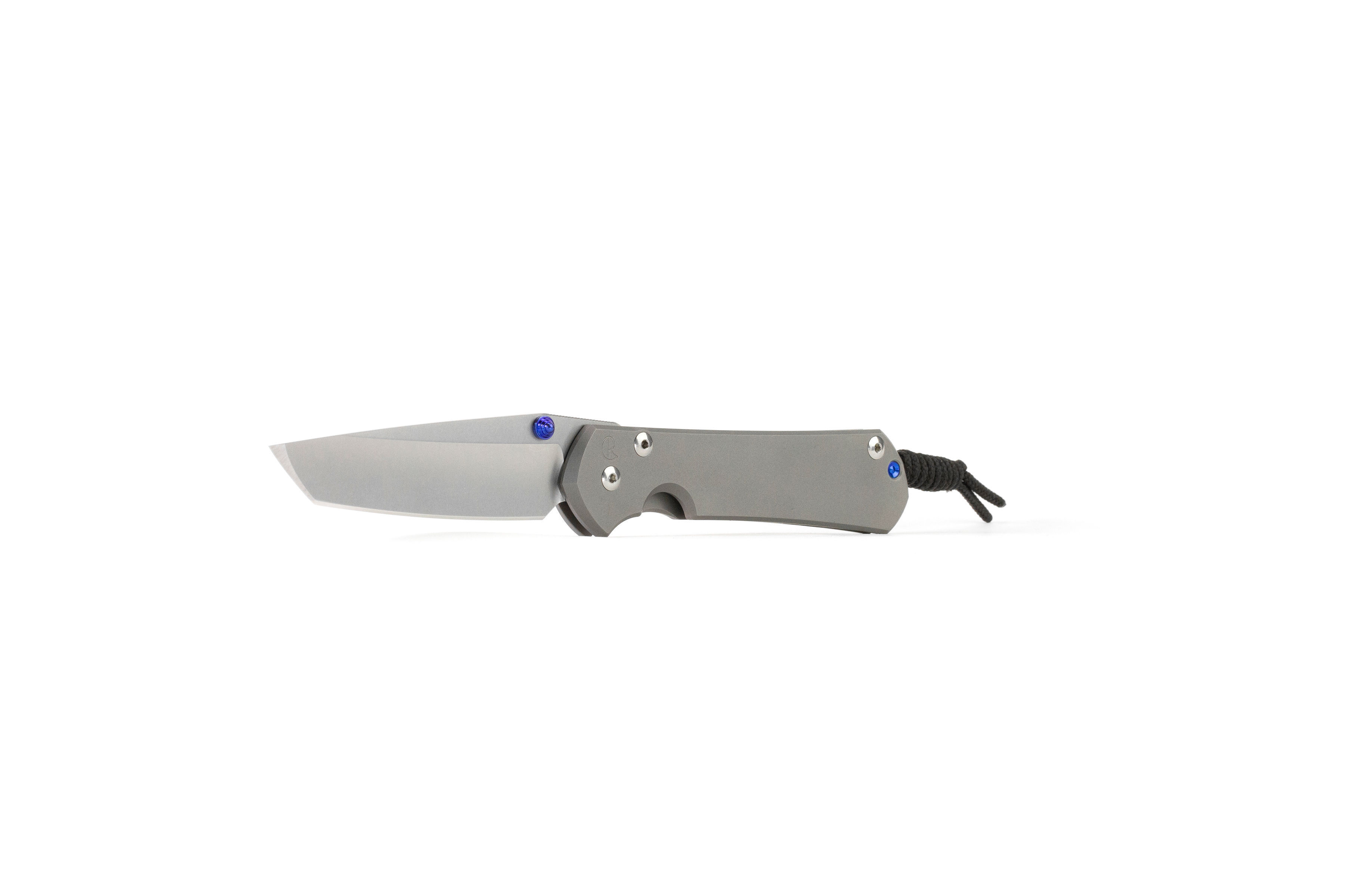 Chris Reeve Sebenza 31 Large - Tanto