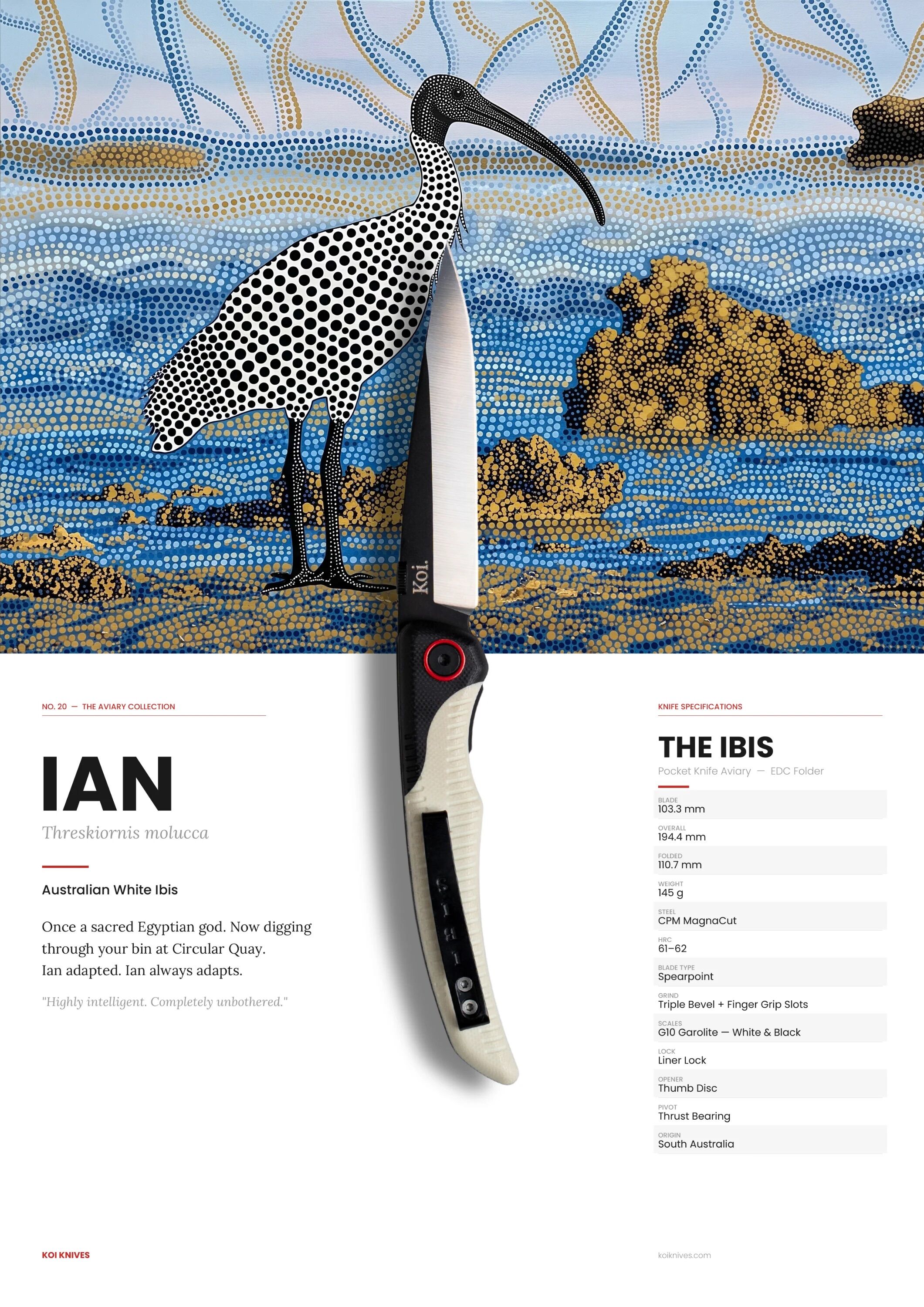 Koi Knives - "Ian" the Ibis
