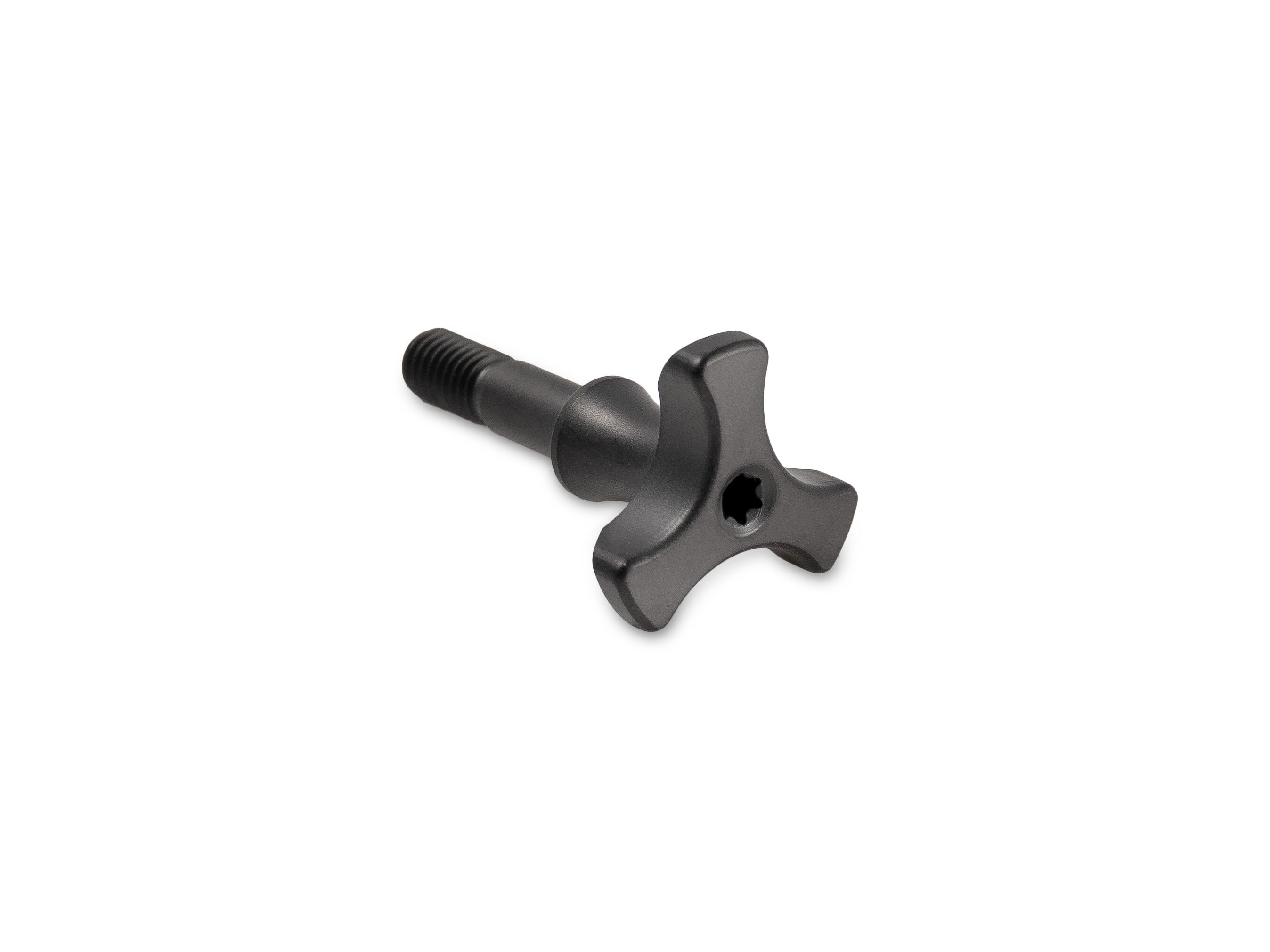 Lupine SL Grano Titanium Screw