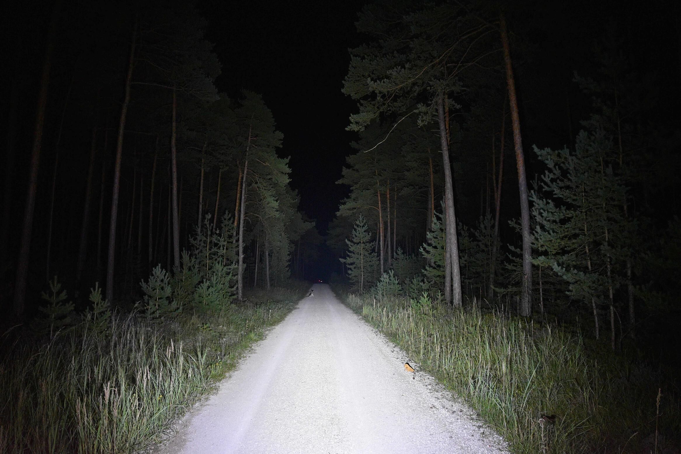 blika_22w_xml2_f-1 lightbox image