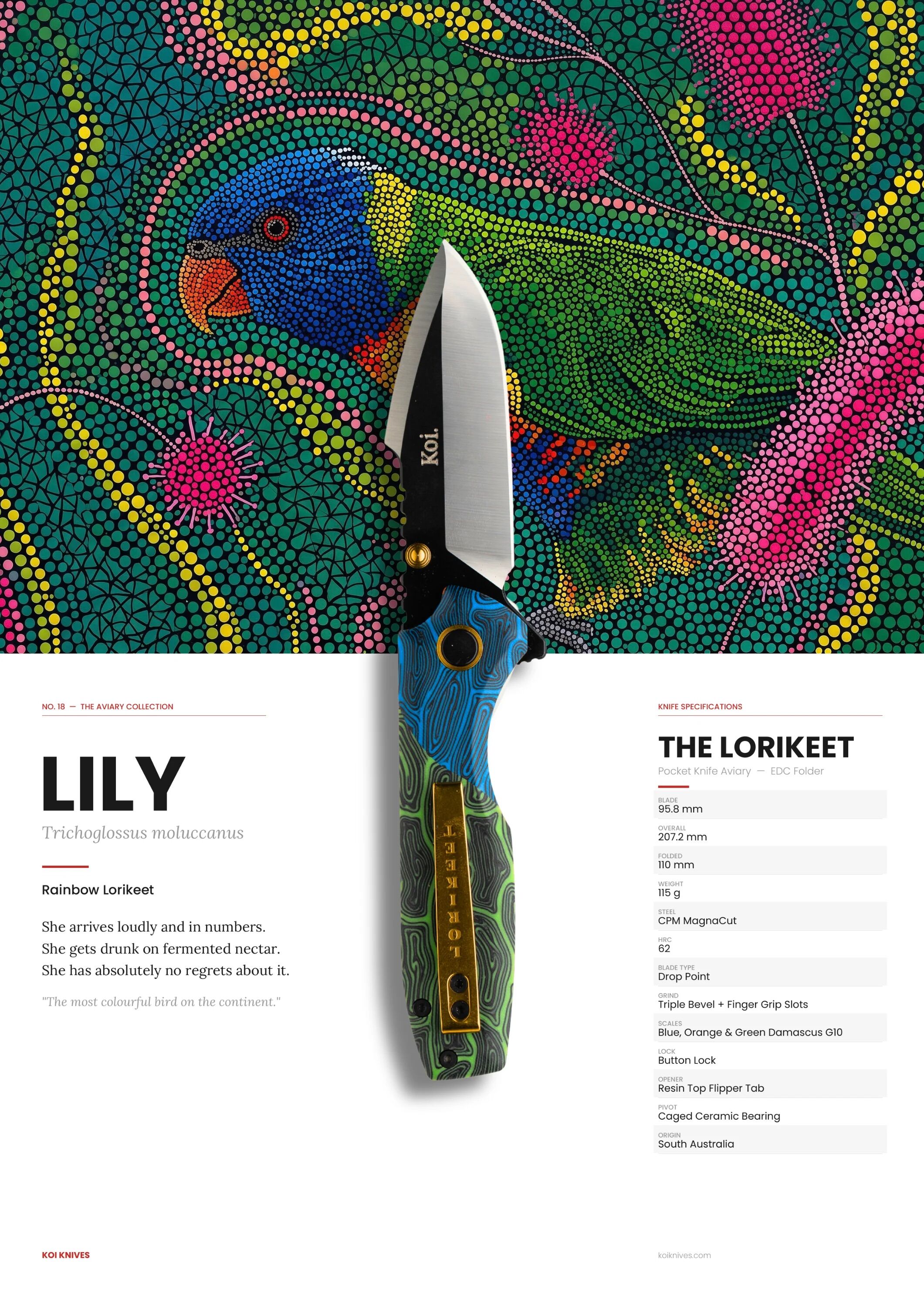 Koi Knives "Lily" the Lorikeet