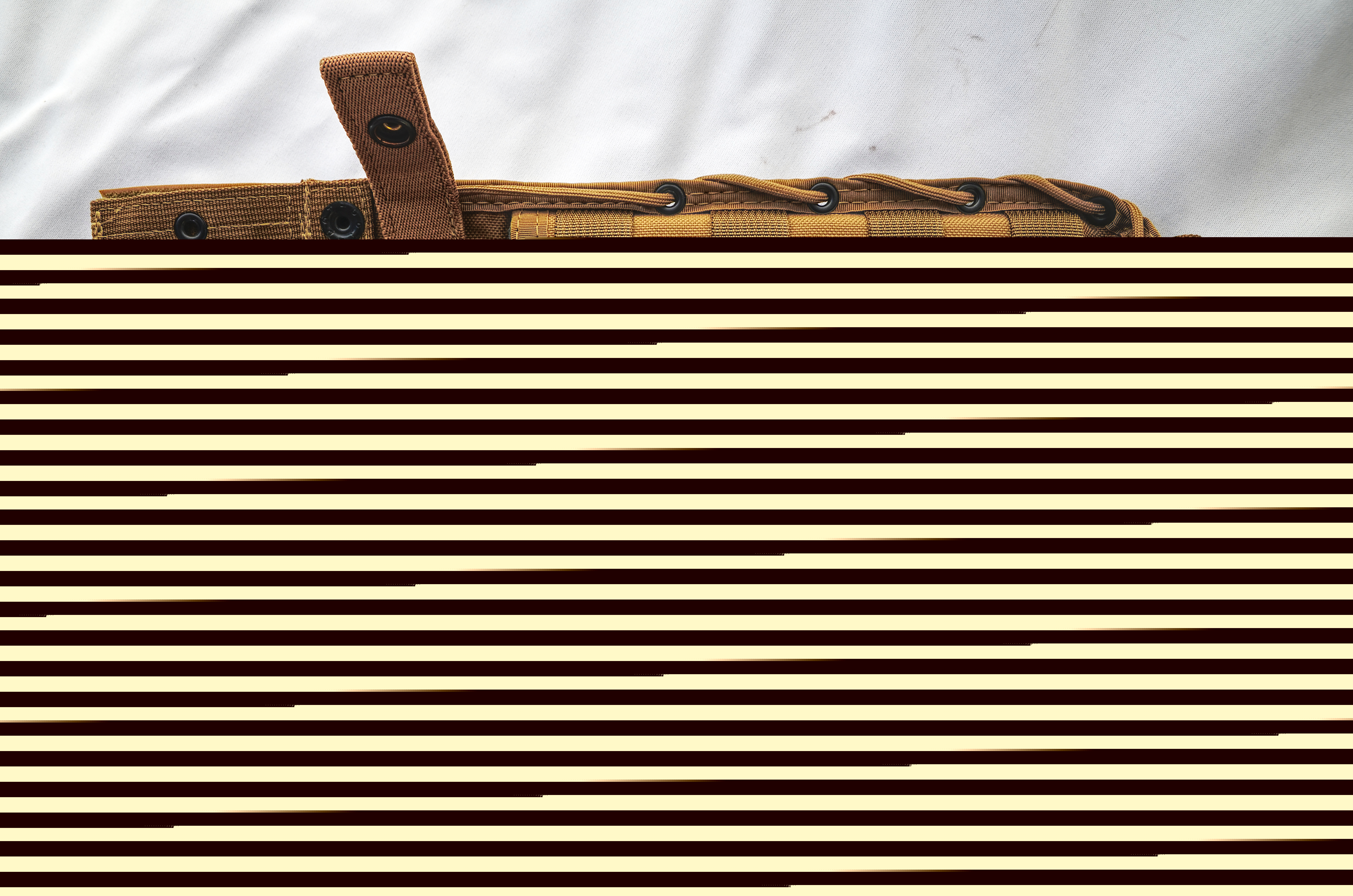 lightbox image