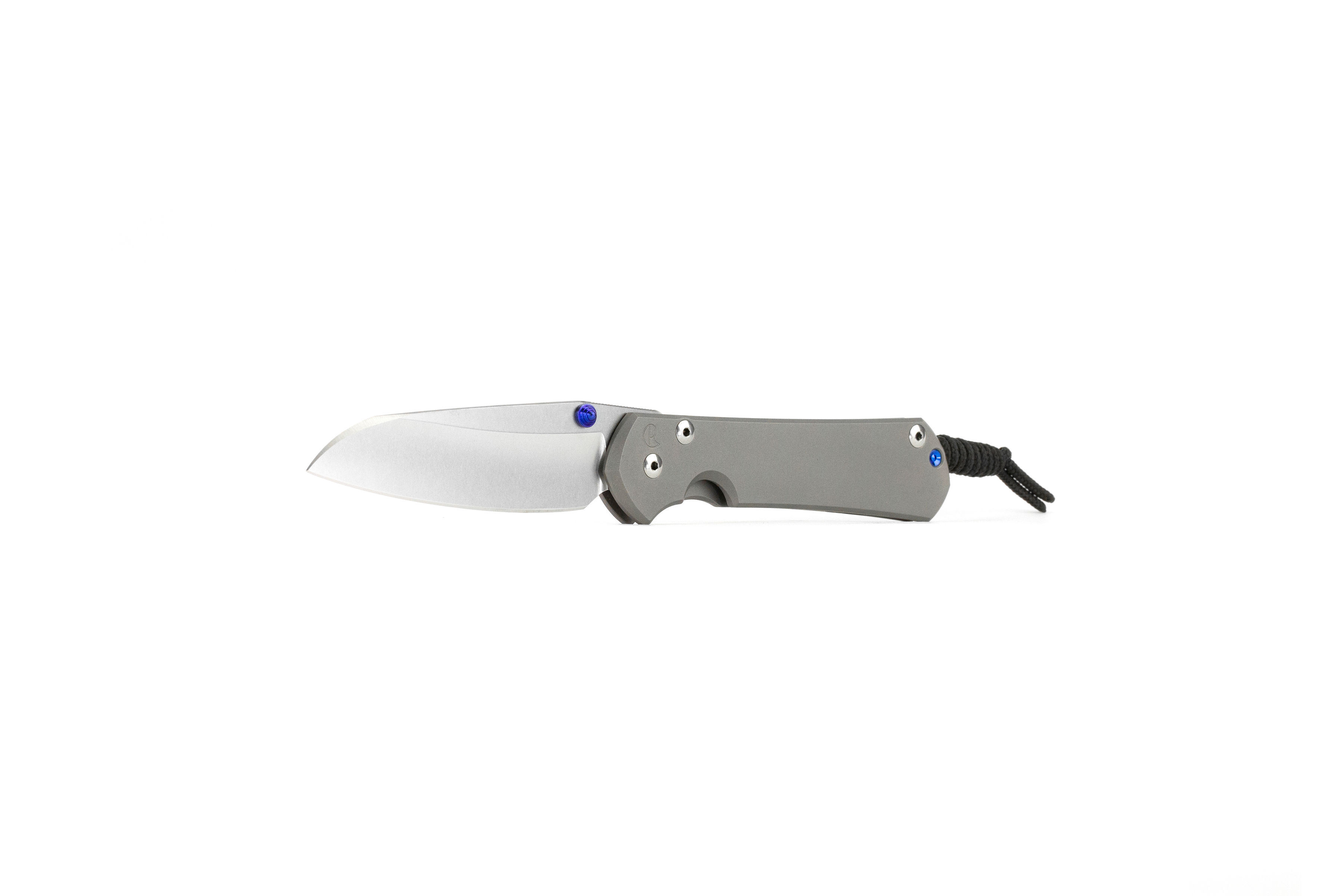 Chris Reeve Sebenza 31 Small Insingo