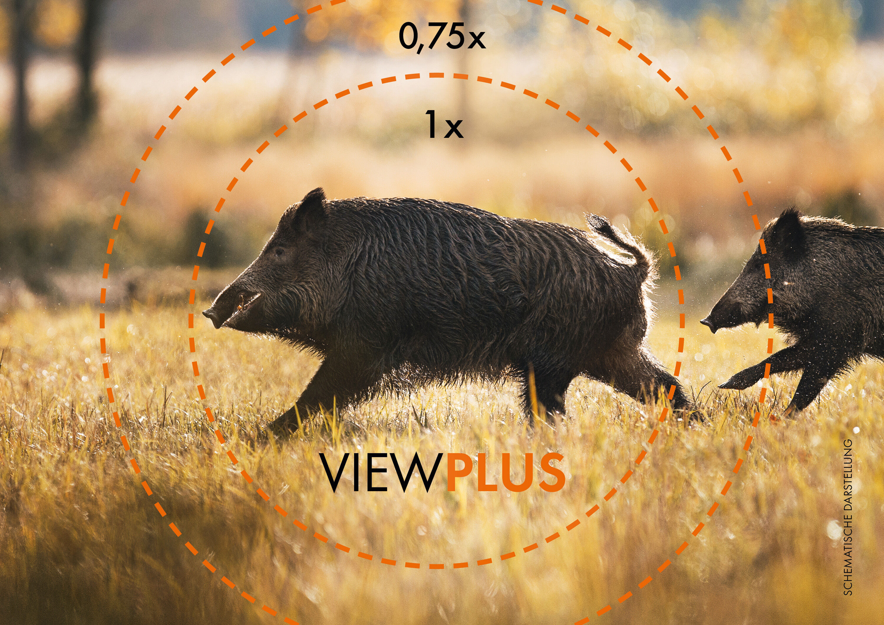 Swarovski-Z8i-0-75-6x20-Drueckjagd lightbox image