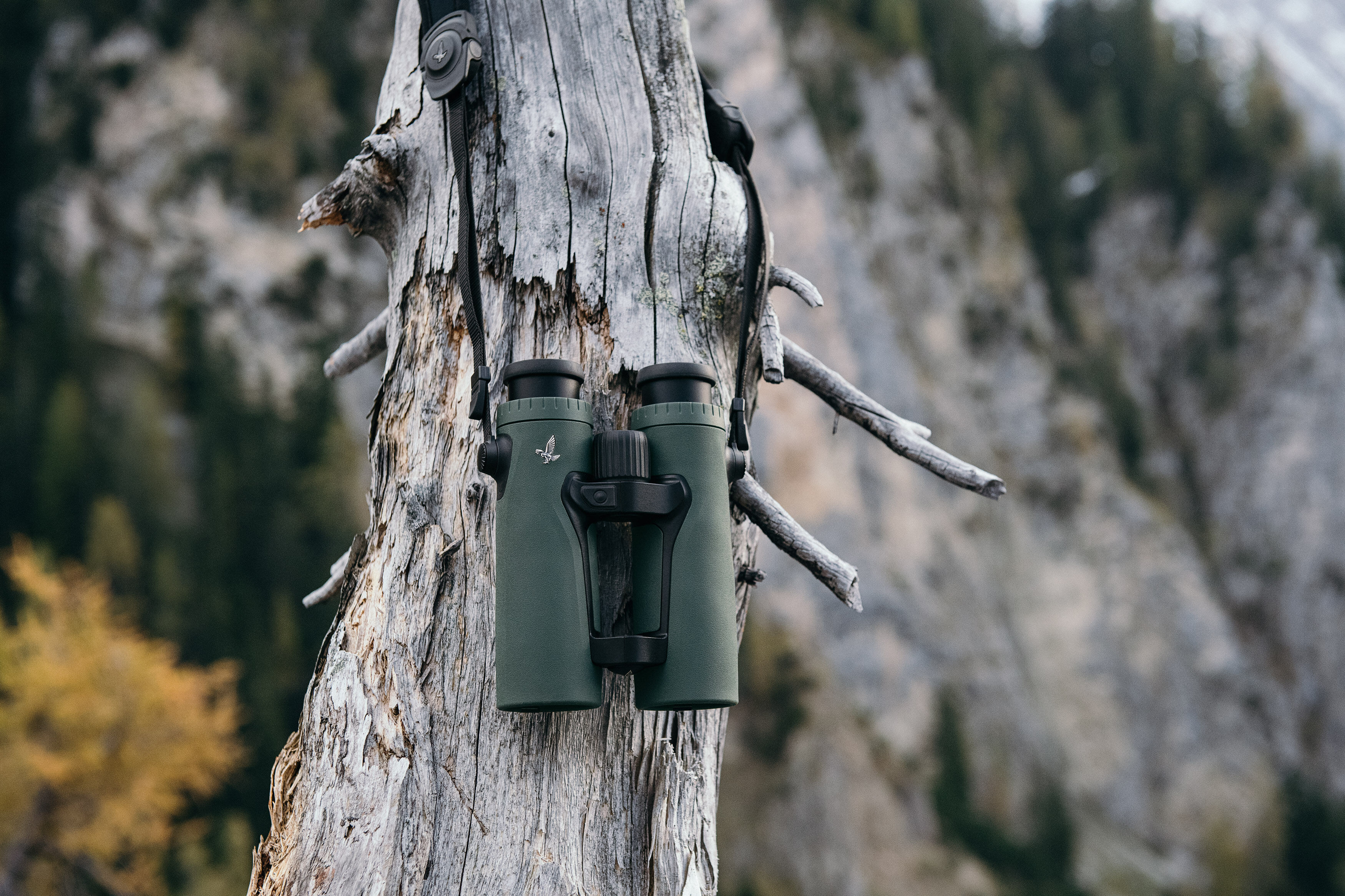 Swarovski-EL-Range-TA-8x42-JAgd Swarovski EL Range TA 8x42