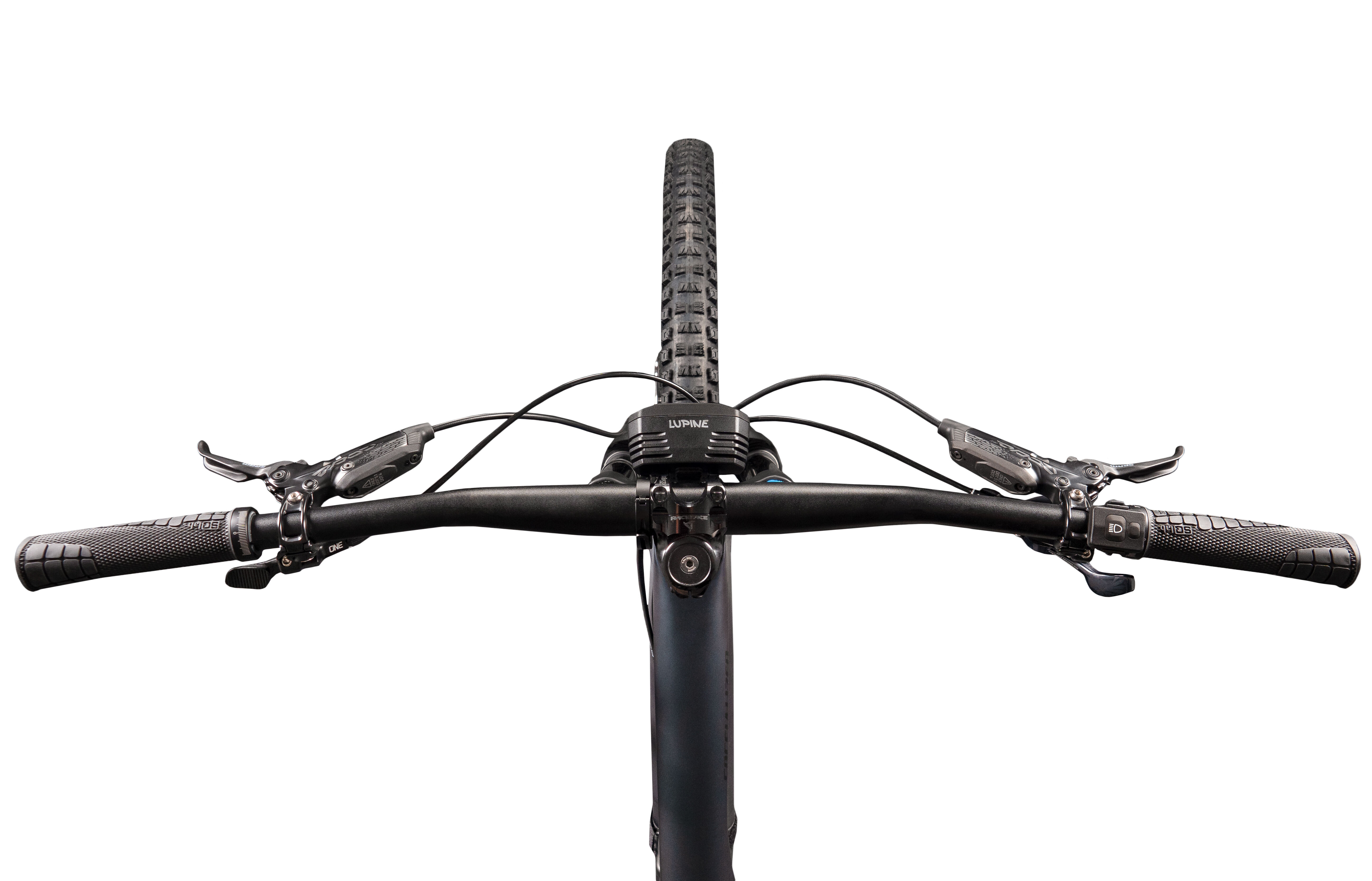 Lupine-SL-AX-oben Lupine SL AX