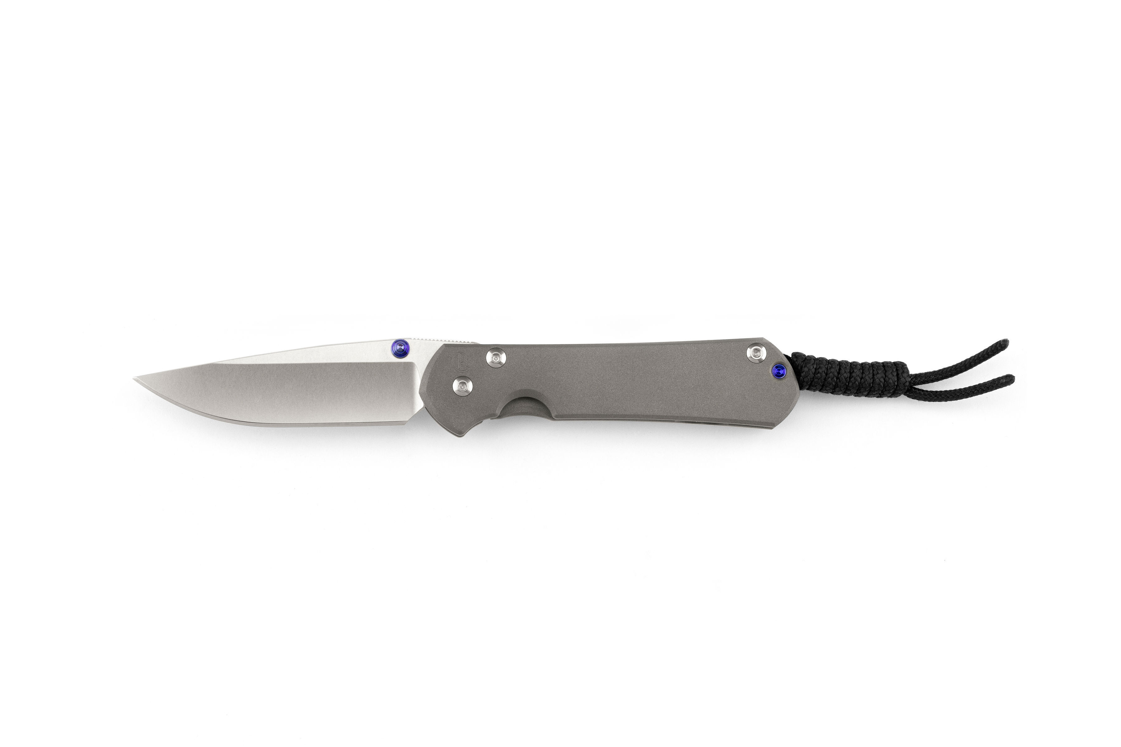 Chris-Reeve-Sebenza-31-Small-Drop-Point-3 Chris Reeve Sebenza 31 Small Drop Point