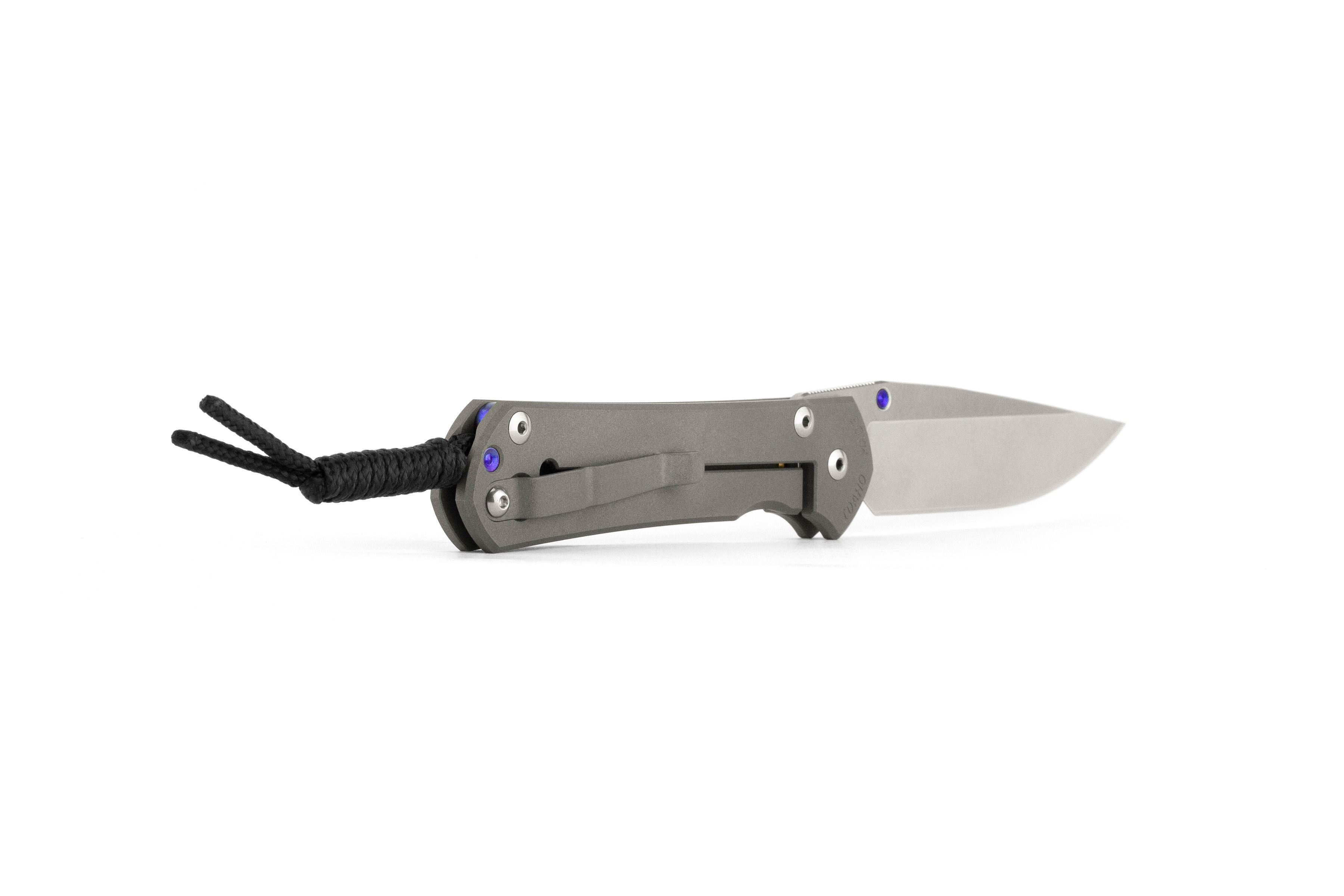 Chris-Reeve-Sebenza-31-Large-Drop-Point-S45VN Chris Reeve Sebenza 31 Large - Drop Point (S45VN)