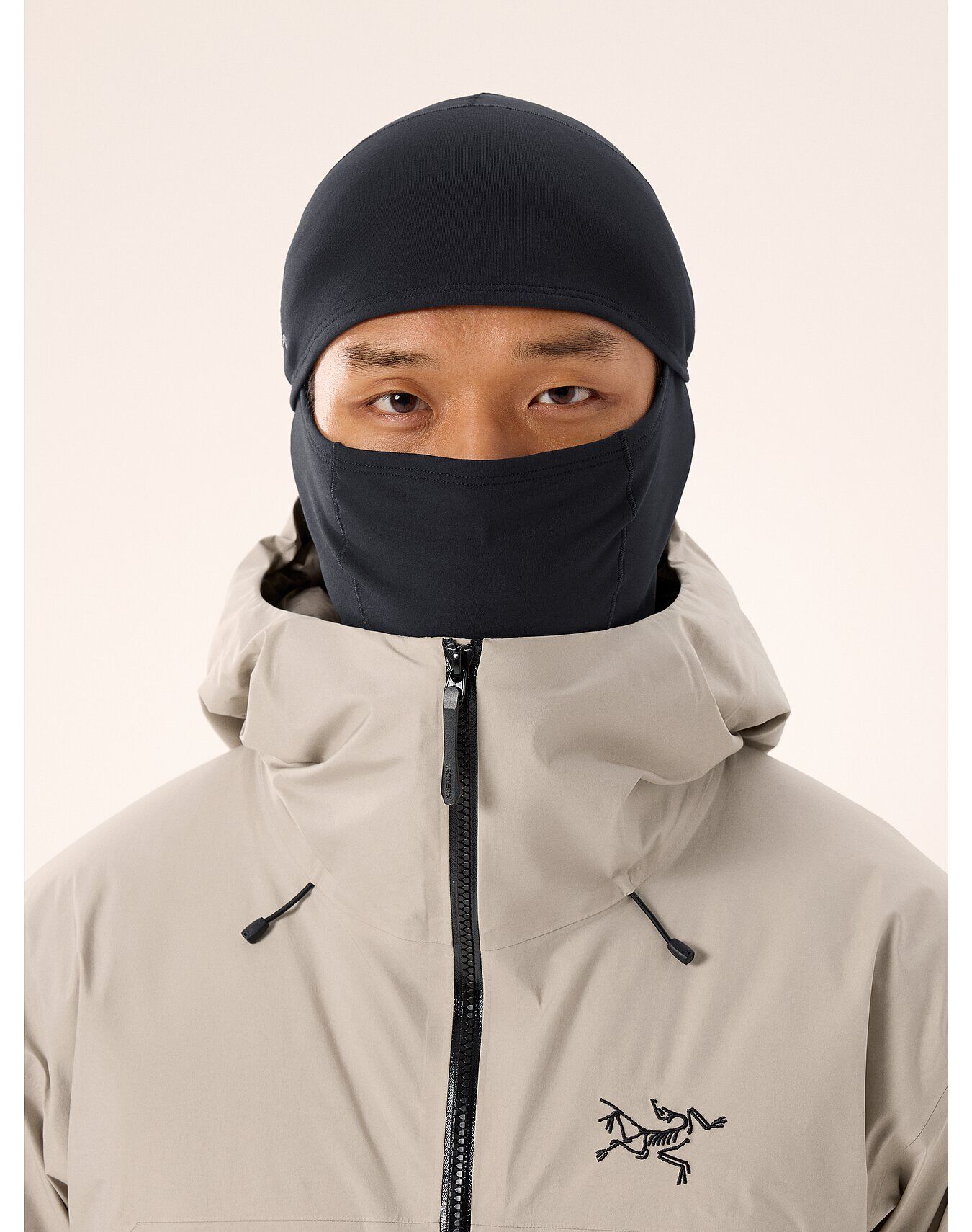 Arcteryx Rho Balaclava