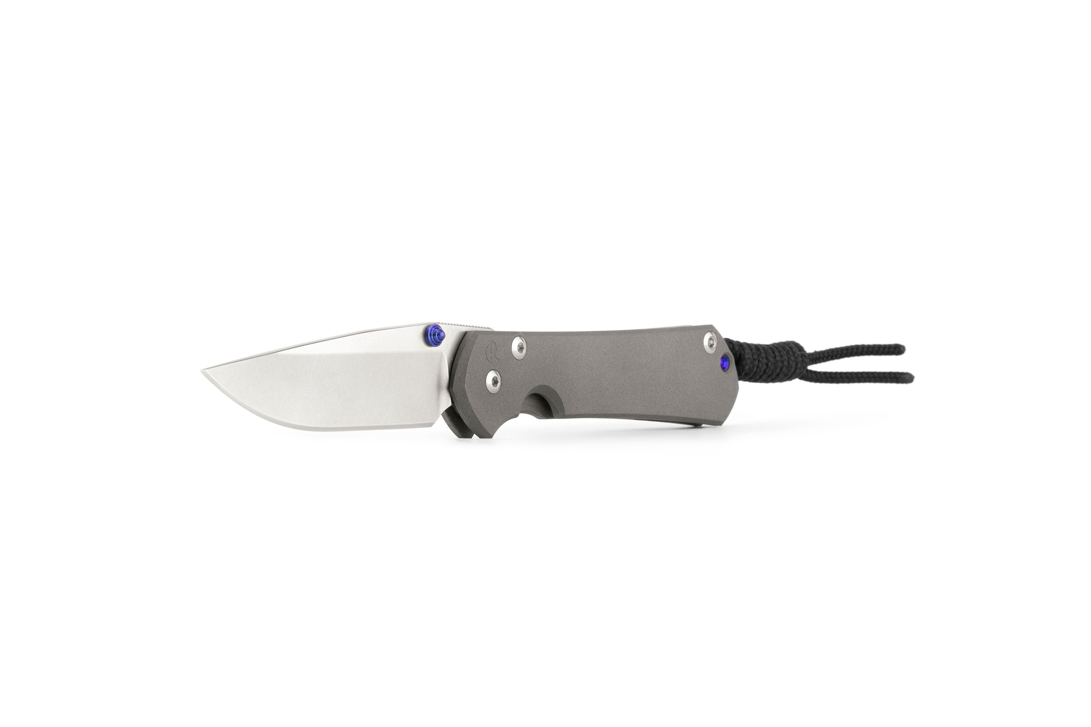 Chris-Reeve-Sebenza-31-Small-Drop-Point Chris Reeve Sebenza 31 Small Drop Point